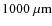 $1000 \ {\rm\mu m}$