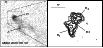 \begin{figure}
\par\includegraphics[width=9cm,clip]{13561fg2.eps}
\end{figure}