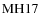 ${\rm MH 17}$