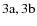${\rm 3a,3b }$