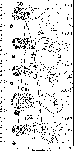 \begin{figure}
\par\includegraphics[width=6.5cm,clip]{9267f2.ps}
\end{figure}