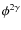 $\phi^{2\gamma}$