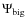 $\Psi_{\rm big}$