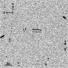 \begin{figure}
\par\includegraphics[width=8.8cm,clip]{13004f01.eps}
\end{figure}