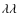 $\lambda\lambda$