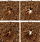 \begin{figure}
\par\includegraphics[width=12cm,clip]{13418fg2.eps}\vspace{4mm}
\end{figure}