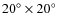 $20\ensuremath{^\circ}\times 20\ensuremath{^\circ} $