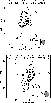 \begin{figure}
\par\subfigure{\includegraphics[width=0.70\columnwidth,angle=0,tr...
...width,angle=0,trim=20.5cm 0cm 0cm 0cm,clip=true]{13492_fig7.eps} }\end{figure}