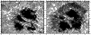 \begin{figure}
\par\includegraphics*[width=4.4cm,bb=129 415 468 677]{AA14112fig3a}\includegraphics*[width=4.4cm,bb=129 415 468 677]{AA14112fig3b}
\end{figure}