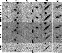\begin{figure}
\par\includegraphics[angle=0,width=8cm,clip]{figures/11066fg2.eps}
\vspace*{-3.5mm}\end{figure}
