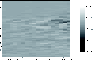 \begin{figure}
\par\includegraphics[width=8cm,clip]{gray-sym01_08.eps}
\end{figure}