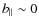 $b_{\parallel} \sim 0$