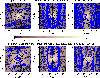 \begin{figure}
{\includegraphics[width=9cm,clip]{13321fg5.eps} }\end{figure}