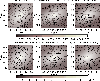 \begin{figure}
{\includegraphics[width=9cm,clip]{13321fg7.eps} }\end{figure}