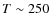 $T\sim250$