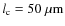 $l_{\rm c} = 50~\rm\mu m$