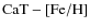 $\rm CaT-[Fe/H]$