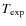 $T_{\exp}$