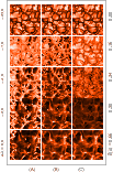 \begin{figure}
\resizebox{9cm}{!}{\includegraphics[trim = 0mm 0mm 0mm
0mm]{11455f02.eps}}
\end{figure}