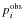 $p_i^{\hbox{\rm\tiny obs}}$