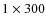 $1 \times 300$