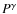 $P^{\gamma}$