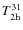 $T_{\rm 2h}^{31}$