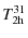 $\displaystyle %
T_{\rm 2h}^{31}$