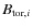 $B_{{\rm tor},i}$