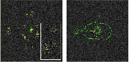 \begin{figure}
\par\includegraphics[width=8cm,clip]{figures/13222fig5a.eps}\hspace*{4mm}
\includegraphics[width=8cm,clip]{figures/13222fig5b.eps}
\end{figure}