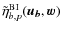 $\tilde{\eta}^{\rm BI}_{b,p}(\vec{u_b}, \vec{w})$