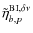 $ \tilde{\eta}^{{\rm BI}, \delta\nu}_{b,p}$