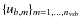 $\{u_{b,m}\}_{m=1,..., n_{\rm vsb}}$
