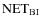 ${\rm NET_{BI}}$