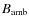 $B_{\rm amb}$
