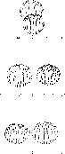 \begin{figure}
\vspace*{-1.5cm}
\includegraphics[width=8cm,clip]{13602f15.eps} ...
...ip]{13602f16.eps}
\includegraphics[width=8cm,clip]{13602f17.eps}
\end{figure}