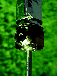 \begin{figure}
\par\includegraphics[angle=180,width=5cm,clip]{13642fg1.eps}
\end{figure}
