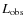 $L_{\rm obs}$