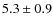 $5.3\pm 0.9$
