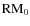 $\rm RM_{0}$