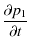 $\displaystyle \frac{\partial p_1}{\partial t}$