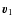 $\vec{v}_1$