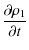 $\displaystyle \frac{\partial \rho_1}{\partial t}$