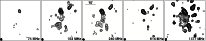 \begin{figure}
\par\includegraphics[width=18cm,clip]{14126fg3.eps} %
\end{figure}