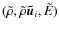 $({\tilde \rho}, {\tilde \rho} {\vec {\tilde u}}_i, \tilde E)$