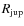 $R_{\rm jup}$