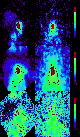 \begin{figure}
\par\includegraphics[height=12cm,width=7cm]{13209fg4.eps}
\end{figure}