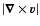 $\vert\vec \nabla \times \vec v\vert$