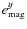 $e_{\rm mag}^y$