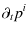 $\displaystyle \partial_{t} p^i$